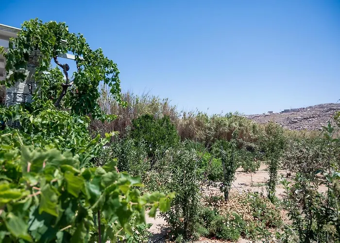 מלון דירות Spilia & Mykonos Agrari (Mykonos)