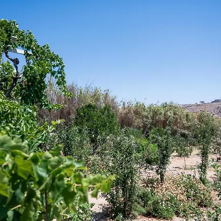 Lägenhetshotell Spilia & Mykonos Agrari (Mykonos)