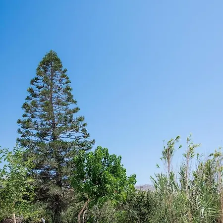 아파트호텔 Spilia & Mykonos