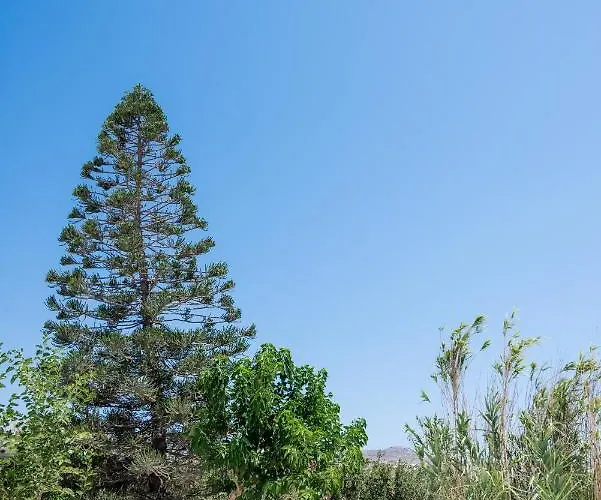 公寓式酒店 Spilia & Mykonos